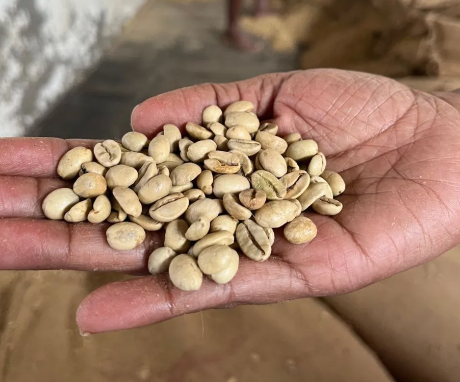 Monsooned Malabar