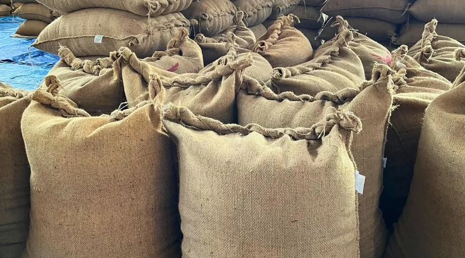 Monsooned Malabar