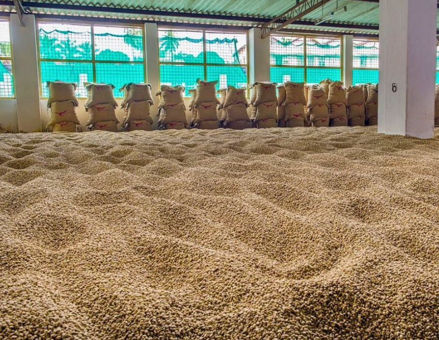Monsooned Malabar
