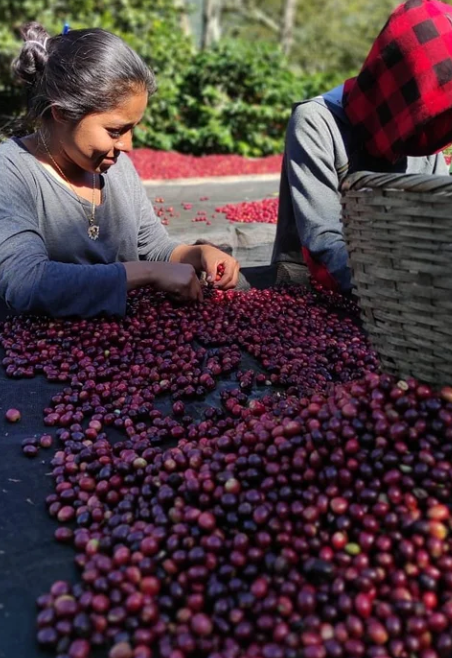 Santa Lucila - Nicaragua