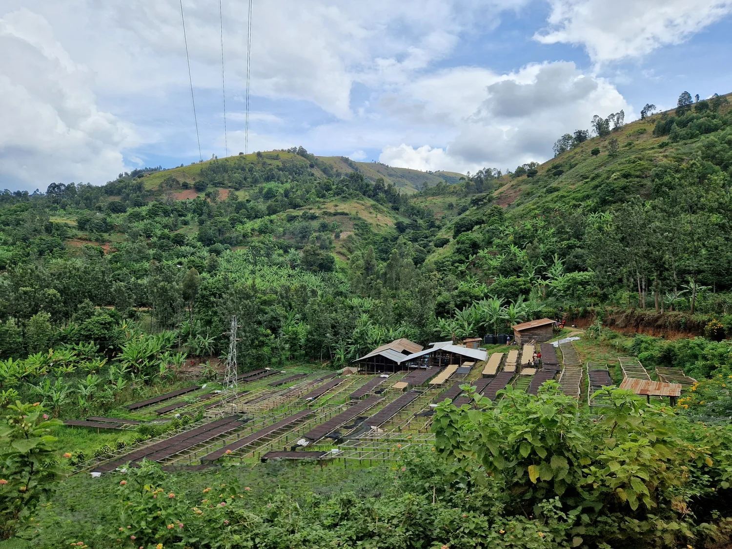 Katana - DRC