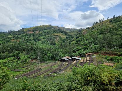 Katana - DRC