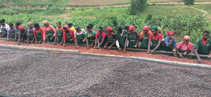 Café des Mamas - Rwanda