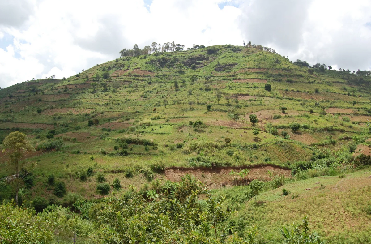 Zombo - Uganda