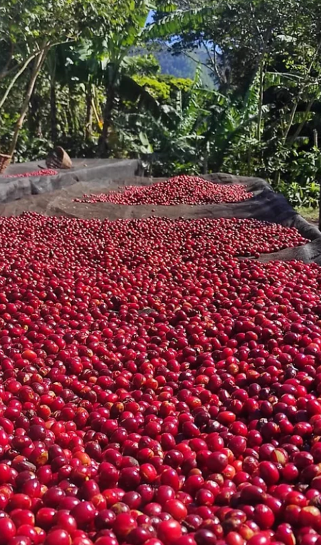 Santa Lucila - Nicaragua