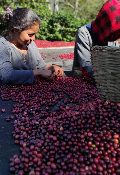 Santa Lucila - Nicaragua