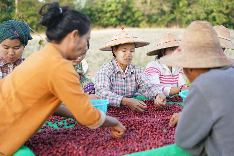 Pha Yar - Myanmar