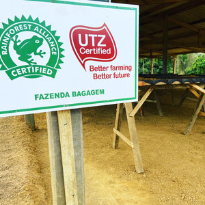 Fazenda Bagagem - MICRO LOT - Brazil